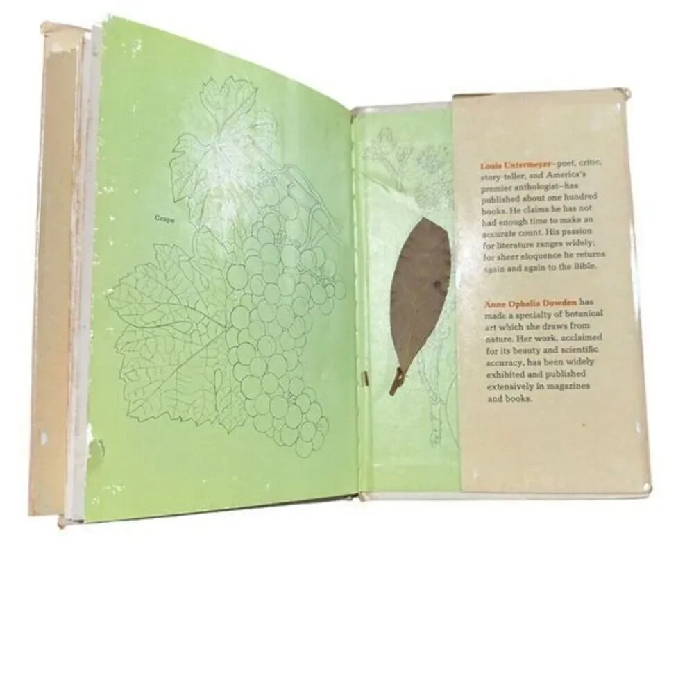 Plants of the‎ Bible  (1st Ed) by Louis Untermeyer, Anne Orphelia Dowden